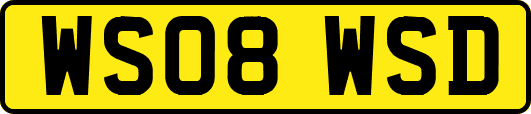 WS08WSD