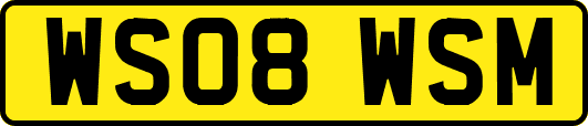 WS08WSM