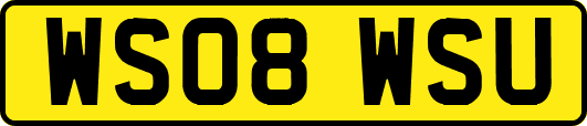 WS08WSU