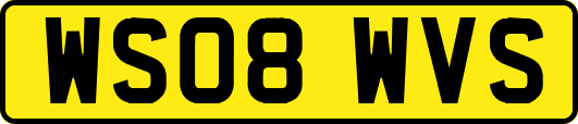 WS08WVS