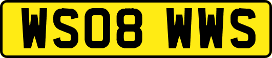 WS08WWS