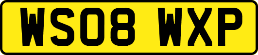 WS08WXP