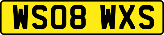 WS08WXS