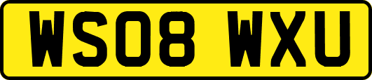 WS08WXU