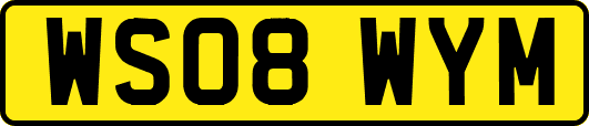 WS08WYM