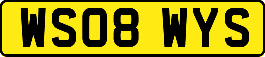 WS08WYS