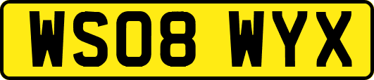 WS08WYX