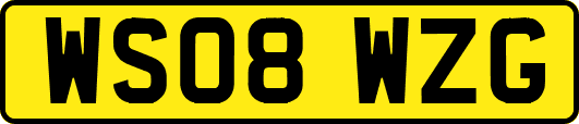 WS08WZG