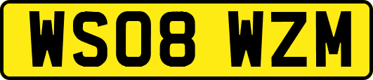 WS08WZM