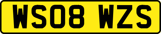 WS08WZS