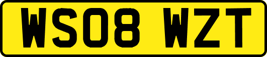 WS08WZT