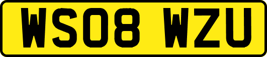 WS08WZU