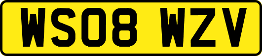 WS08WZV
