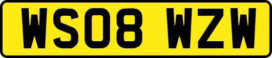 WS08WZW