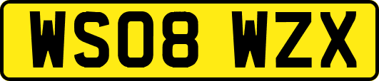 WS08WZX