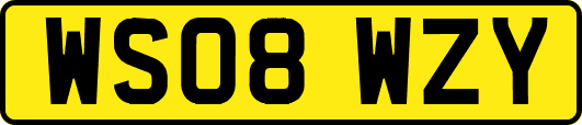 WS08WZY