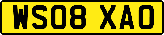 WS08XAO