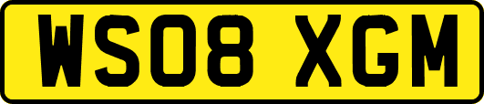 WS08XGM