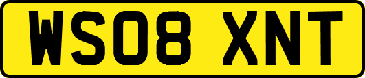 WS08XNT