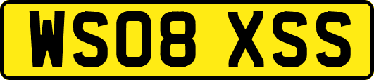 WS08XSS