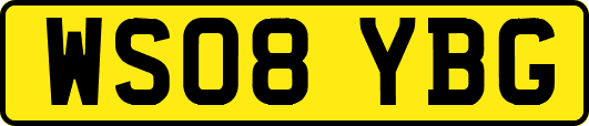 WS08YBG
