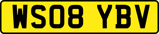 WS08YBV