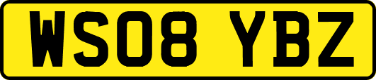 WS08YBZ