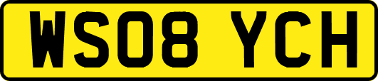 WS08YCH
