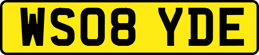 WS08YDE