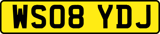 WS08YDJ