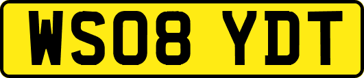 WS08YDT