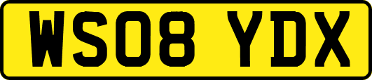 WS08YDX