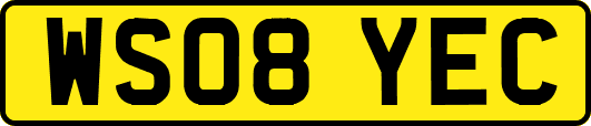 WS08YEC