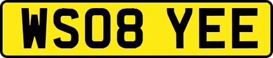 WS08YEE