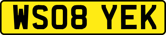 WS08YEK