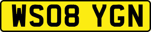 WS08YGN