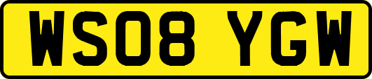 WS08YGW