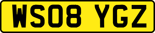 WS08YGZ