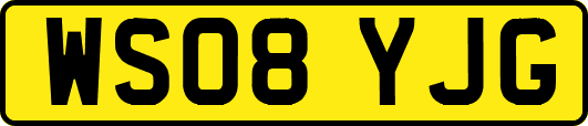 WS08YJG
