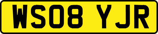 WS08YJR