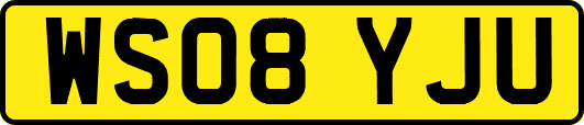 WS08YJU