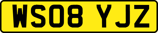 WS08YJZ