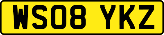 WS08YKZ