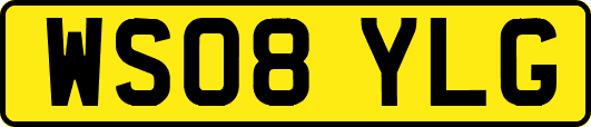 WS08YLG