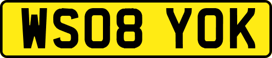 WS08YOK