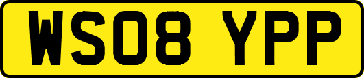 WS08YPP