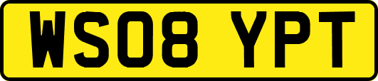 WS08YPT