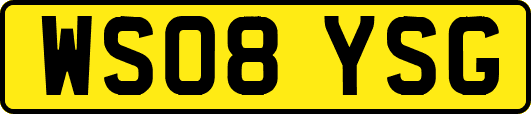 WS08YSG