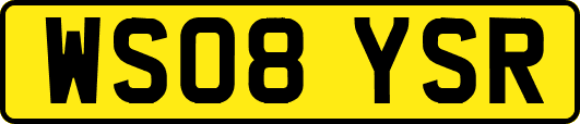 WS08YSR
