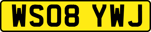 WS08YWJ